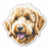 Goldendoodle Aufkleber (Vorderseite)