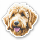 Goldendoodle Aufkleber (Vorderseite)