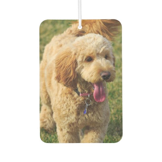 Goldendoodle Autolufterfrischer (Vorderseite)