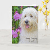 Goldendoodle Birthday Karte (Gelbe Blume)