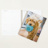 Goldendoodle Carry Dinner Bowl Planer (Anzeige)