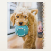 Goldendoodle Carry Dinner Bowl Planer (Rückseite)
