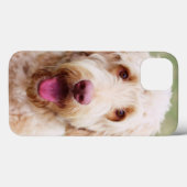 Goldendoodle Case-Mate iPhone Hülle (Rückseite (Horizontal))
