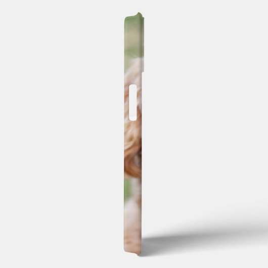 Goldendoodle Case-Mate iPhone Hülle (Rückseite / Rechts)