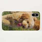 Goldendoodle Case-Mate iPhone Hülle (Rückseite (Horizontal))