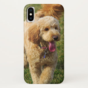 Goldendoodle Case-Mate iPhone Hülle