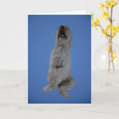 Goldendoodle, das herauf Gruß-Karte sitzt Karte (Gelbe Blume)