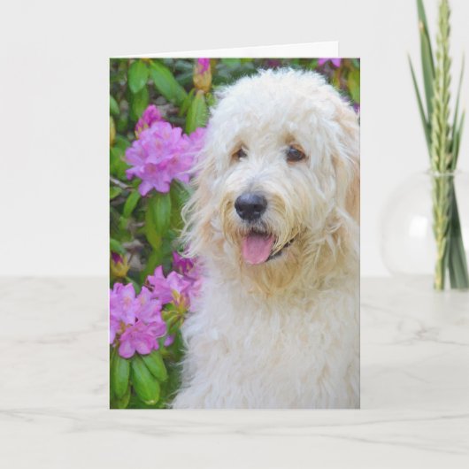 Goldendoodle Denken Sie an Sie Karte (Vorderseite)