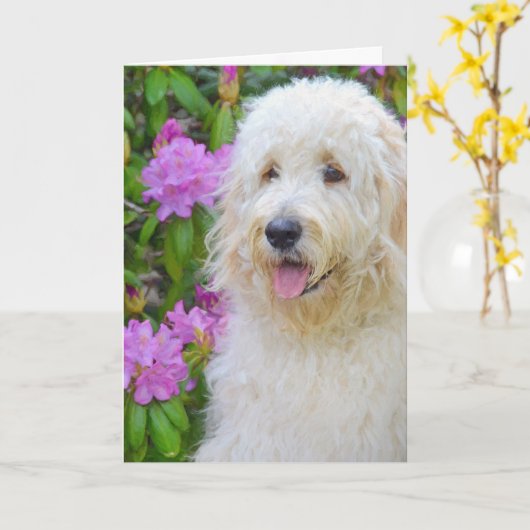 Goldendoodle Denken Sie an Sie Karte (Gelbe Blume)