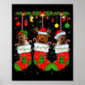 Goldendoodle Dog In Christmas Socks Funny Pet Dog Poster (Vorne)
