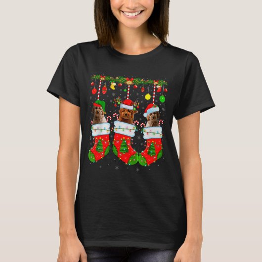 Goldendoodle Dog In Christmas Socks Funny Pet Dog T-Shirt (Vorderseite)