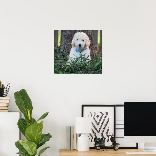 Goldendoodle Dog Poster (Heimbüro)
