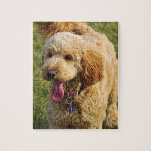 Goldendoodle Dog Puzzle