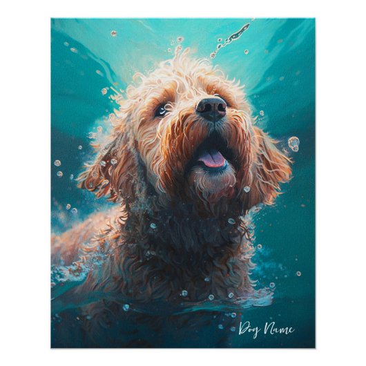 Goldendoodle dog swimming in water 008 poster (Vorderseite)