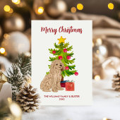 Goldendoodle Dog Weihnachten