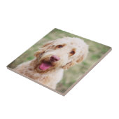 Goldendoodle Fliese (Seite)