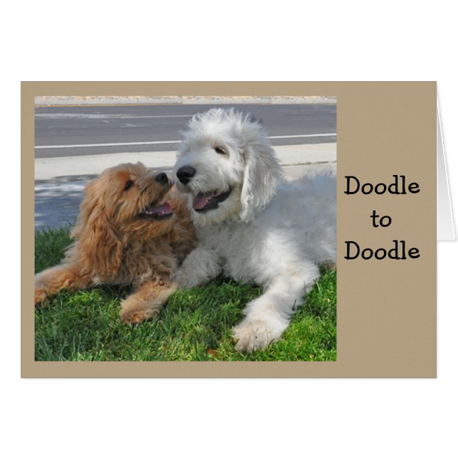 Goldendoodle friends (Vorderseite (Horizontal))