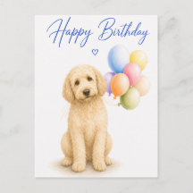 Goldendoodle Geburtstag