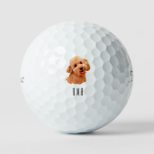 Goldendoodle Golden Doodle Golfball (Vorderseite)