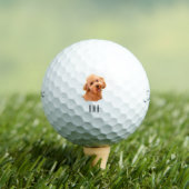 Goldendoodle Golden Doodle Golfball (Insitu T-Shirt)