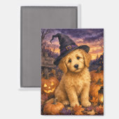 Goldendoodle Hexenhut Kürbis Magnet (Vorderseite/Rückseite)