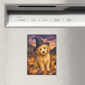 Goldendoodle Hexenhut Kürbis Magnet (In Situ (Geschirrspüler))
