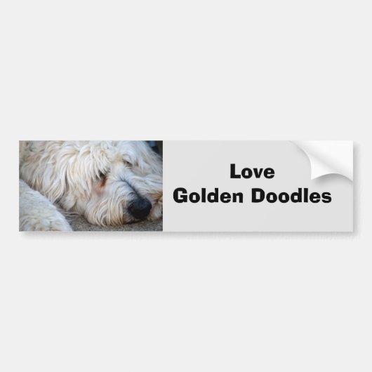 Goldendoodle-Hintergrund Autoaufkleber (Vorne)
