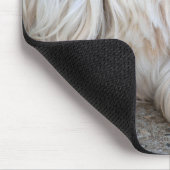 Goldendoodle-Hintergrund Mousepad (Ecke)