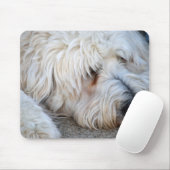 Goldendoodle-Hintergrund Mousepad (Mit Mouse)