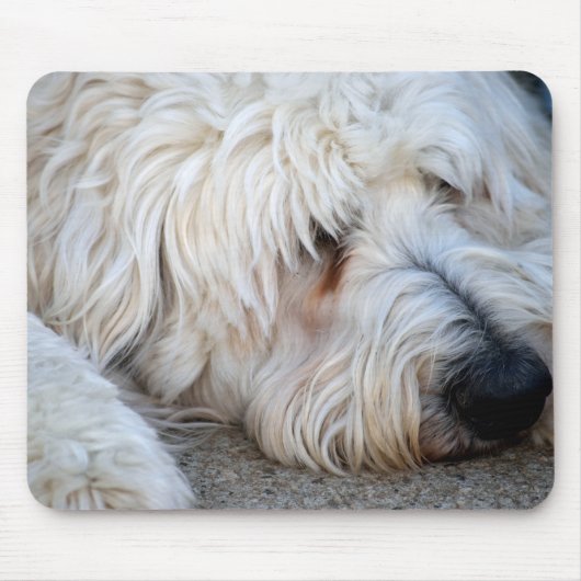 Goldendoodle-Hintergrund Mousepad (Vorne)