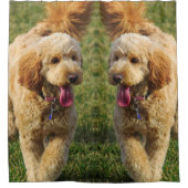 Goldendoodle-Hund-Foto Duschvorhang (Vorderseite)