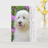 Goldendoodle Hund im Gartengeburtstag Karte (Gelbe Blume)