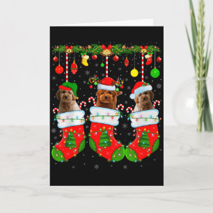 Goldendoodle-Hund in Weihnachts-Socken Lustiger Ha Karte