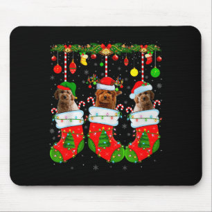 Goldendoodle-Hund in Weihnachts-Socken Lustiger Ha Mousepad