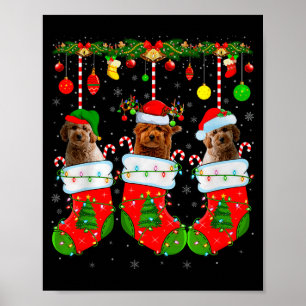 Goldendoodle-Hund in Weihnachts-Socken Lustiger Hu Poster