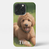 Goldendoodle Hund Personalisiert iPhone Hülle (Rückseite)