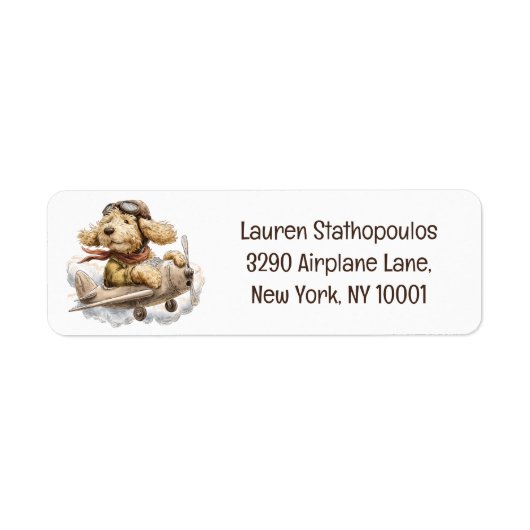 Goldendoodle Hund Pilot Flugzeug (Vorne)