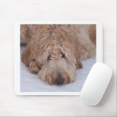 GoldenDoodle Hundegeschenk Mousepads/Mousemats Mousepad (Mit Mouse)