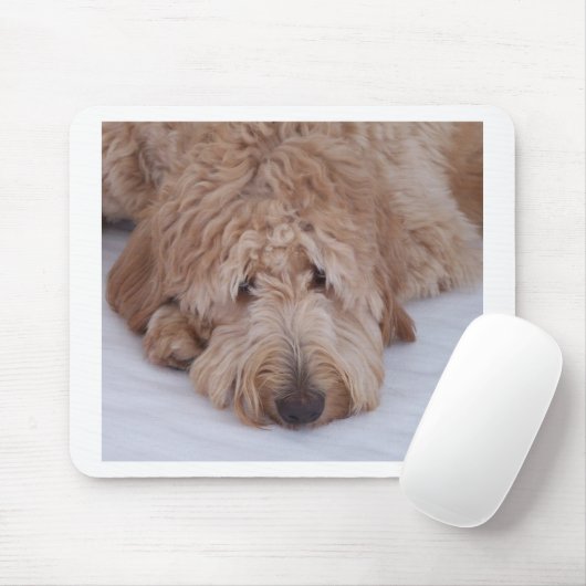 GoldenDoodle Hundegeschenk Mousepads/Mousemats Mousepad (Mit Mouse)