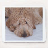 GoldenDoodle Hundegeschenk Mousepads/Mousemats Mousepad (Vorne)