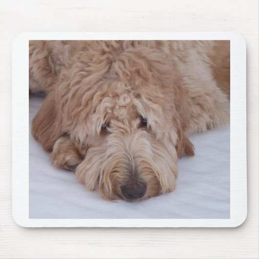 GoldenDoodle Hundegeschenk Mousepads/Mousemats Mousepad (Vorne)