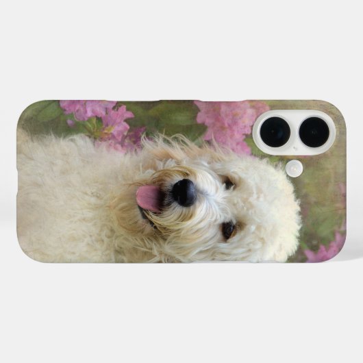 Goldendoodle im Garten Case-Mate iPhone Hülle (Rückseite (Horizontal))