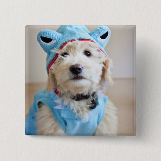 Goldendoodle in Haikostüm Button (Vorderseite)