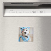 Goldendoodle in Haikostüm Magnet (In Situ (Geschirrspüler))