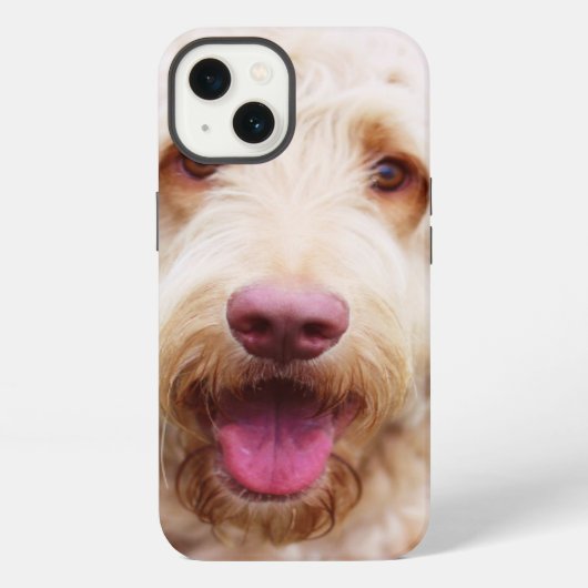 Goldendoodle iPhone Hülle (Rückseite)