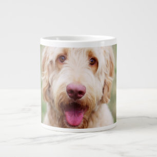 Goldendoodle Jumbo-Tasse