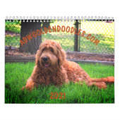 Goldendoodle Kalender (Titelbild)