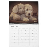 Goldendoodle Kalender (Mär 2027)