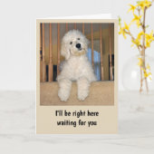 Goldendoodle-Karte Karte (Gelbe Blume)