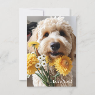 Goldendoodle-Karten Dankeskarte